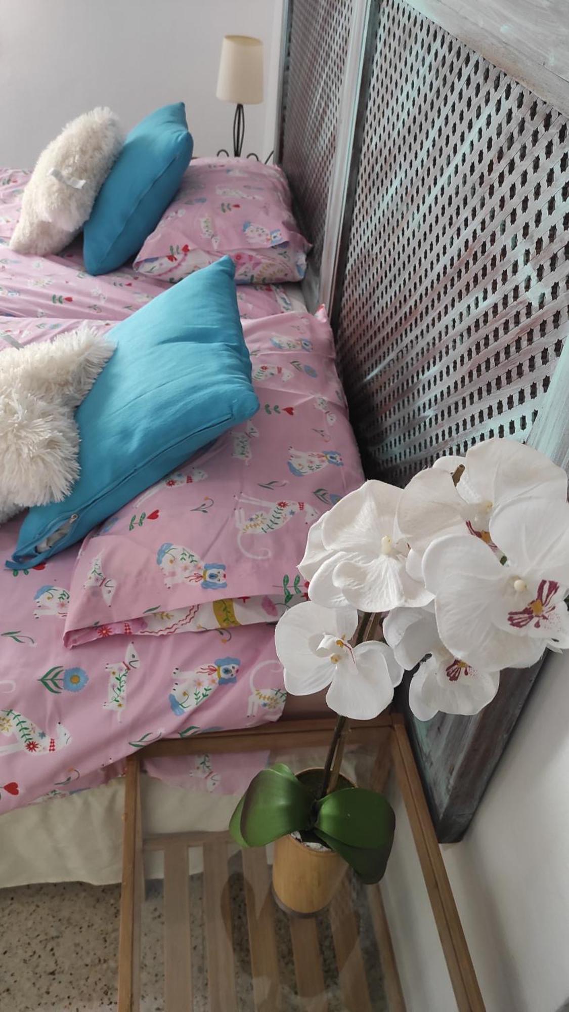 Apartment Centrico Piso Con Aparcamiento Gratuito